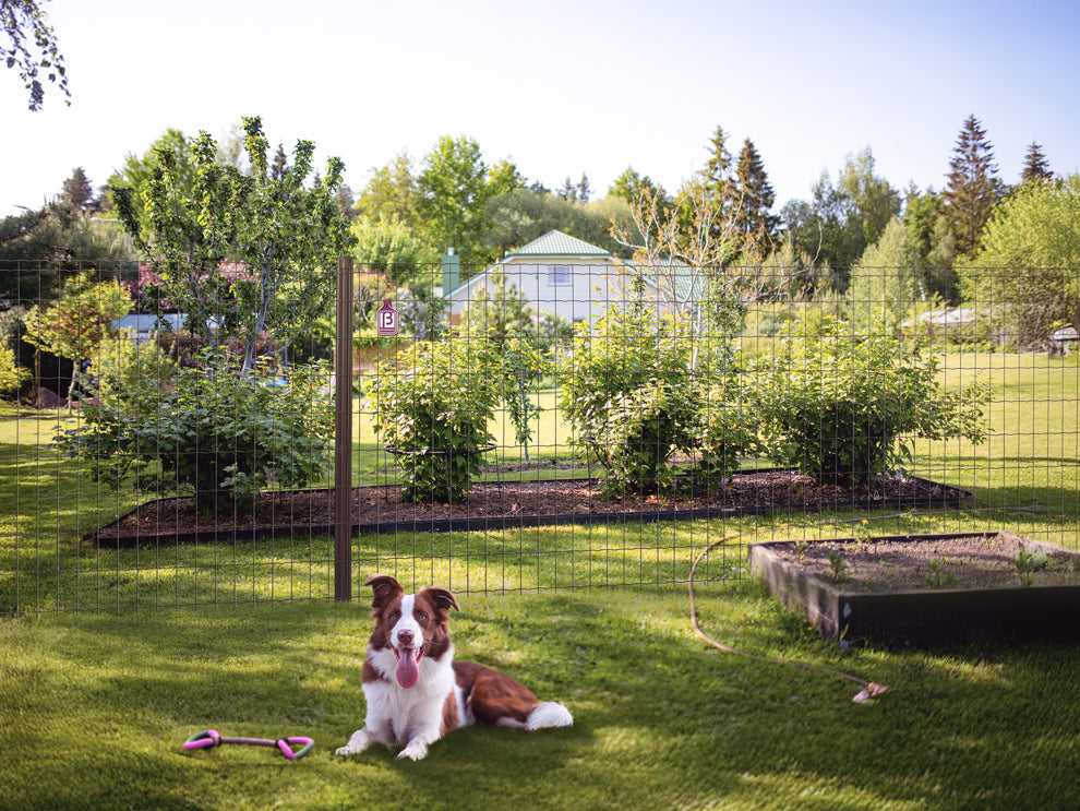 Pantanet Fence - Steel Rolls