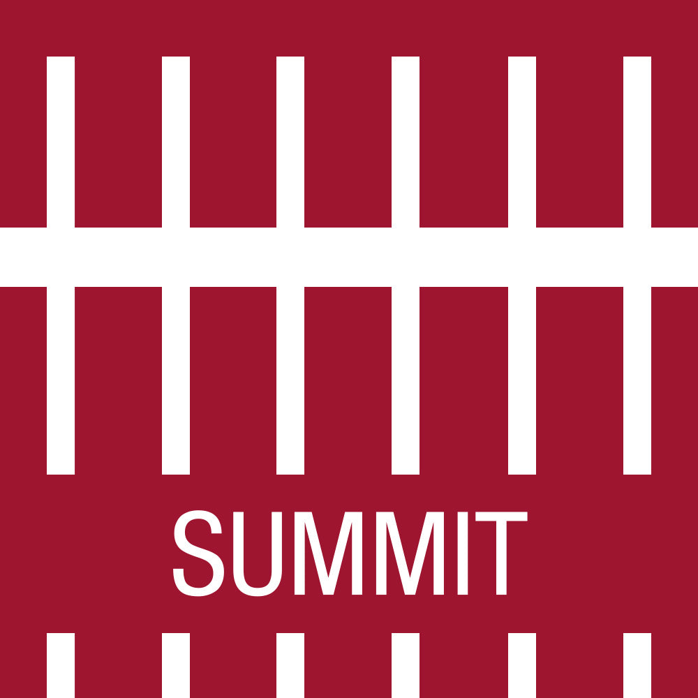 evenflo summit metal gate GATE TRV Summit 3-RL 48