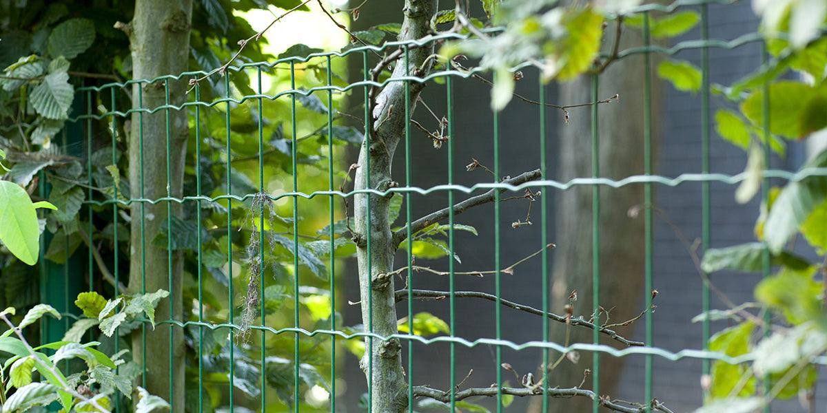 Pantanet Fence - Steel Rolls