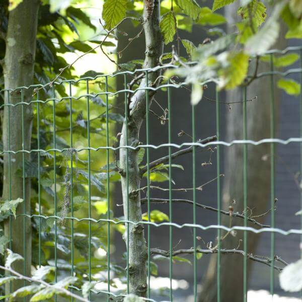 wire fence type